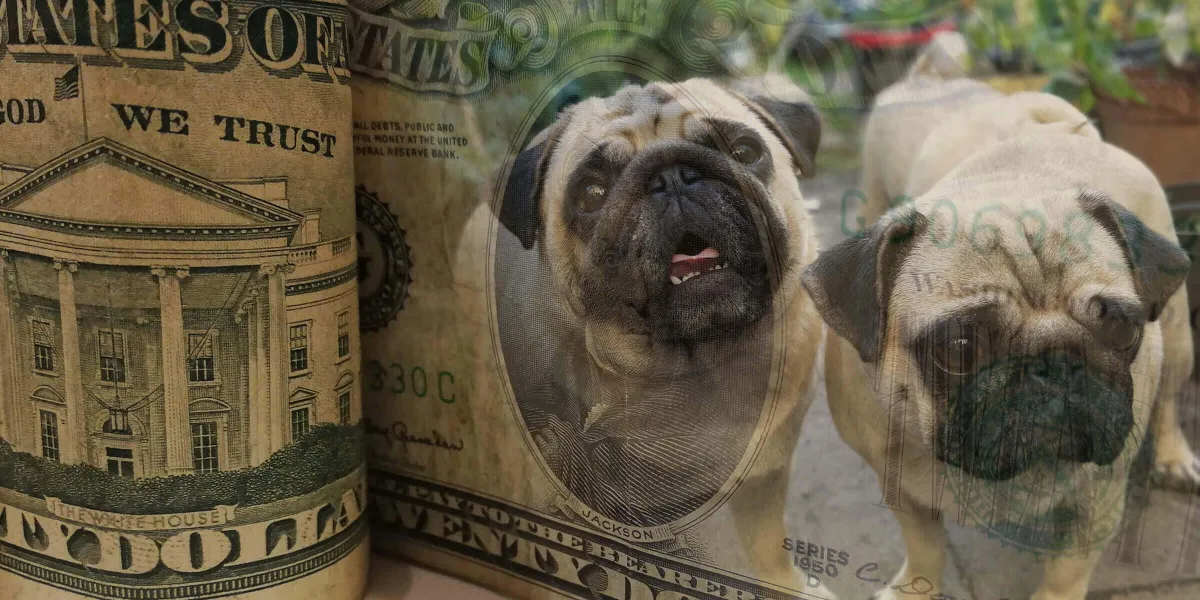 Puppy Breeder Cost Comparison