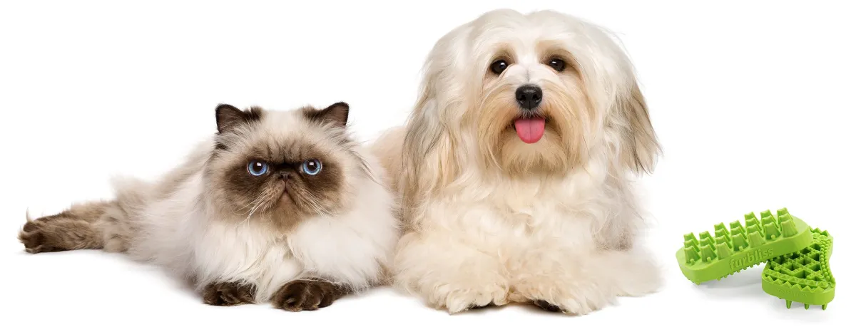 Seasonal Grooming Tips for Pets