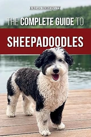 Sheepadoodle Cost-Saving Tips