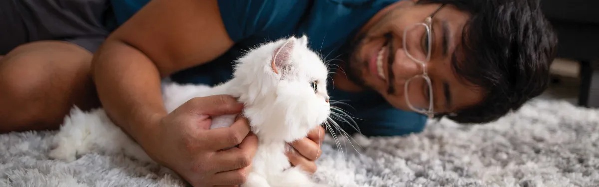 Spaying Neutering Health Benefits