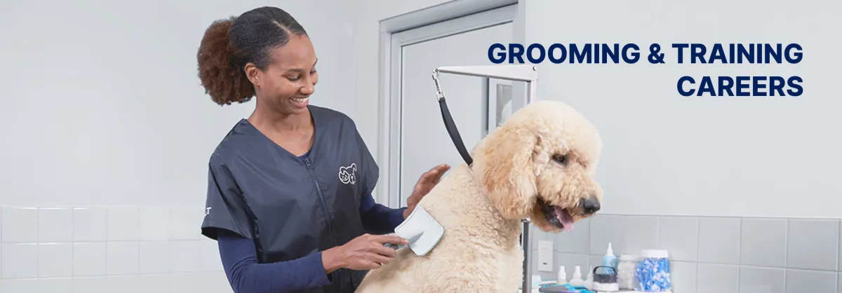 Training and Grooming Requirements