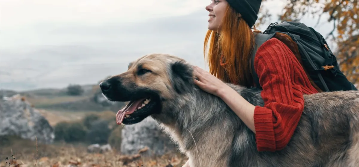 Veterinary Health and Preventive Care