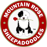 Blubaugh Family Sheepadoodles Trusted Breeder Guide Caring for Healthy Puppies