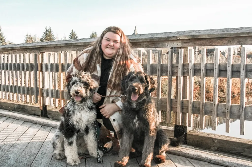 Best Health Coverage for Sheepadoodles in Ontario Comprehensive Plans 2025