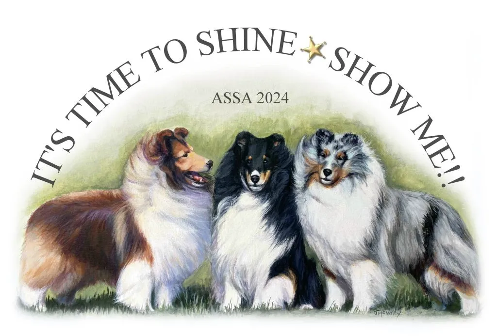 Shetland Sheepdog vs Sheepadoodle Comparison Guide Temperament Size Grooming